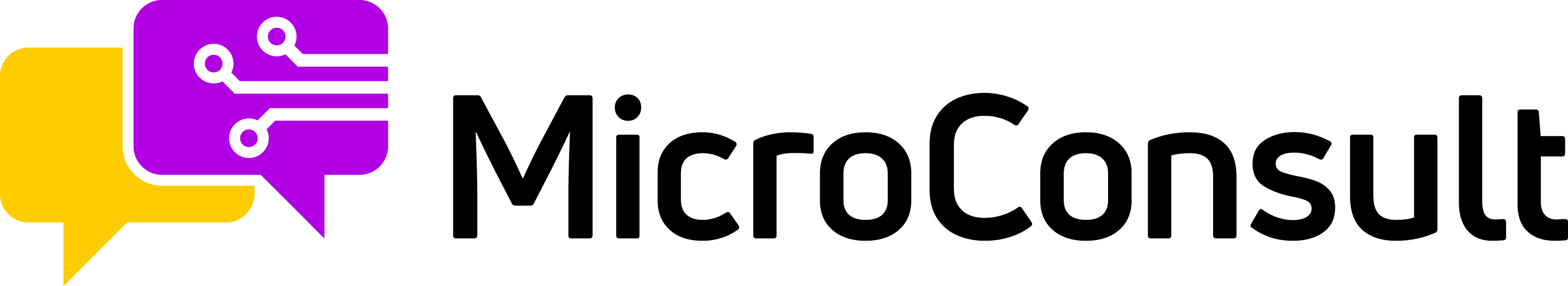 MicroConsult Logo